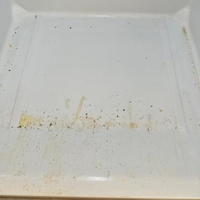 Student Accommodation Cleaning Gospel Oak NW3